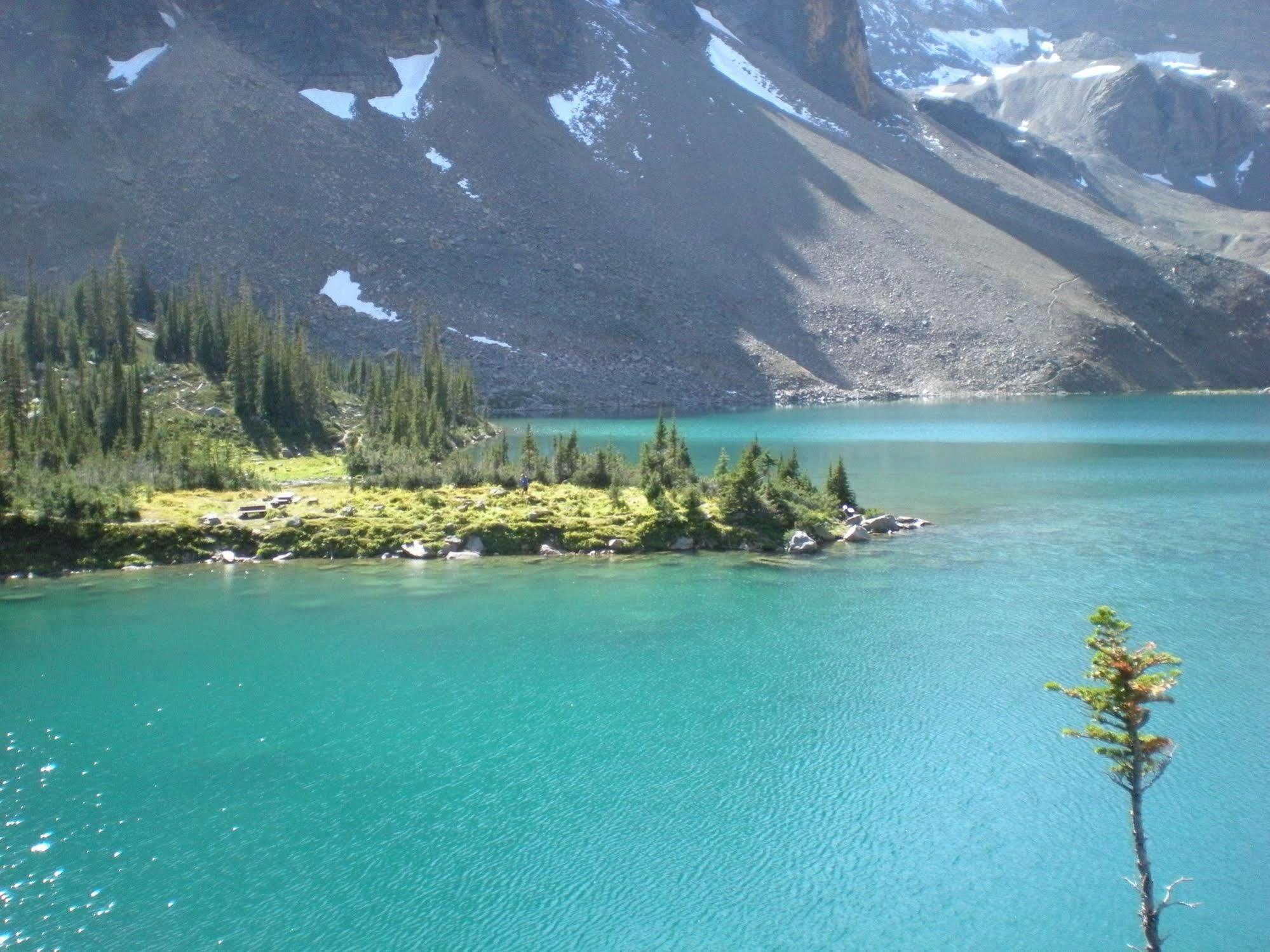 Vagabond Lodge At Kicking Horse Golden Exterior foto